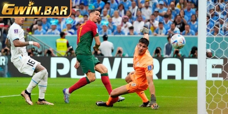 Tóm tắt chiến lược áp dụng